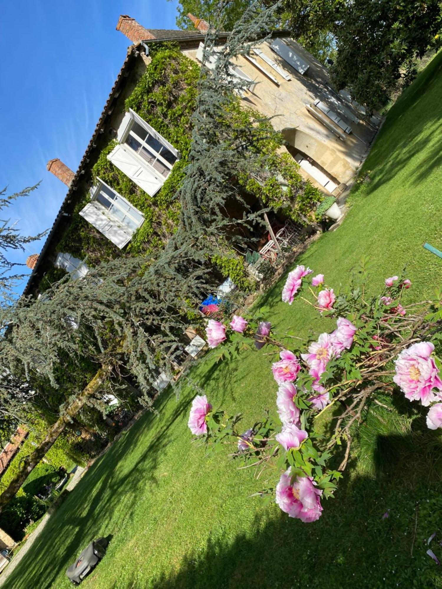 La Seigneurie De Tillac Exteriör bild